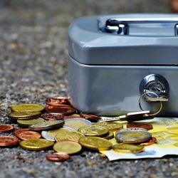 Ausgebucht! Finanzen - Basis 1 - Grundlagen der Finanzbuchhaltung im Kleingartenverein
