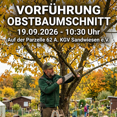 Wie schneide ich meinen Obstbaum?