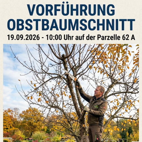 Wie schneide ich meinen Obstbaum?